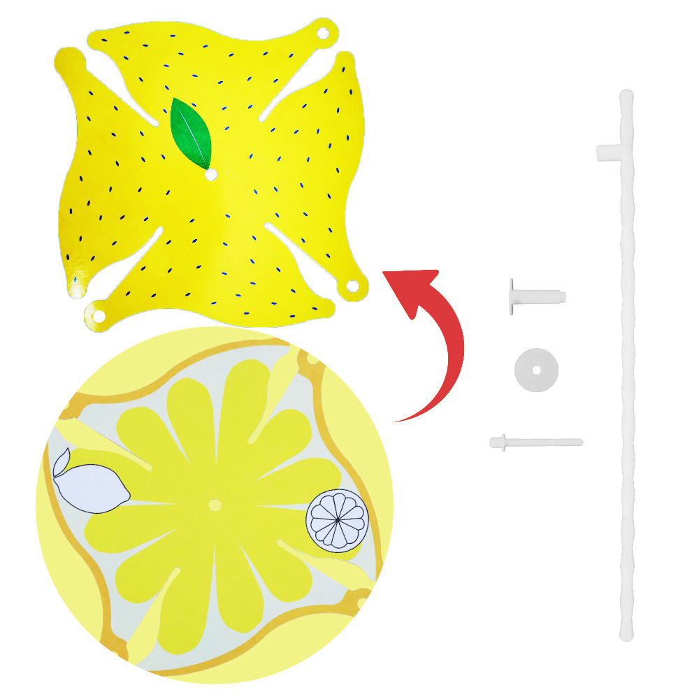 시원한 과일 바람개비 만들기 - 레몬